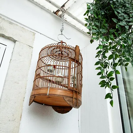 Patio Da Gloria 아파트 *